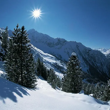 Bergland Appartement *